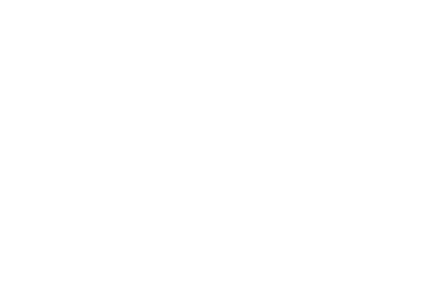 Official Selection Northampton Film Festival 2024