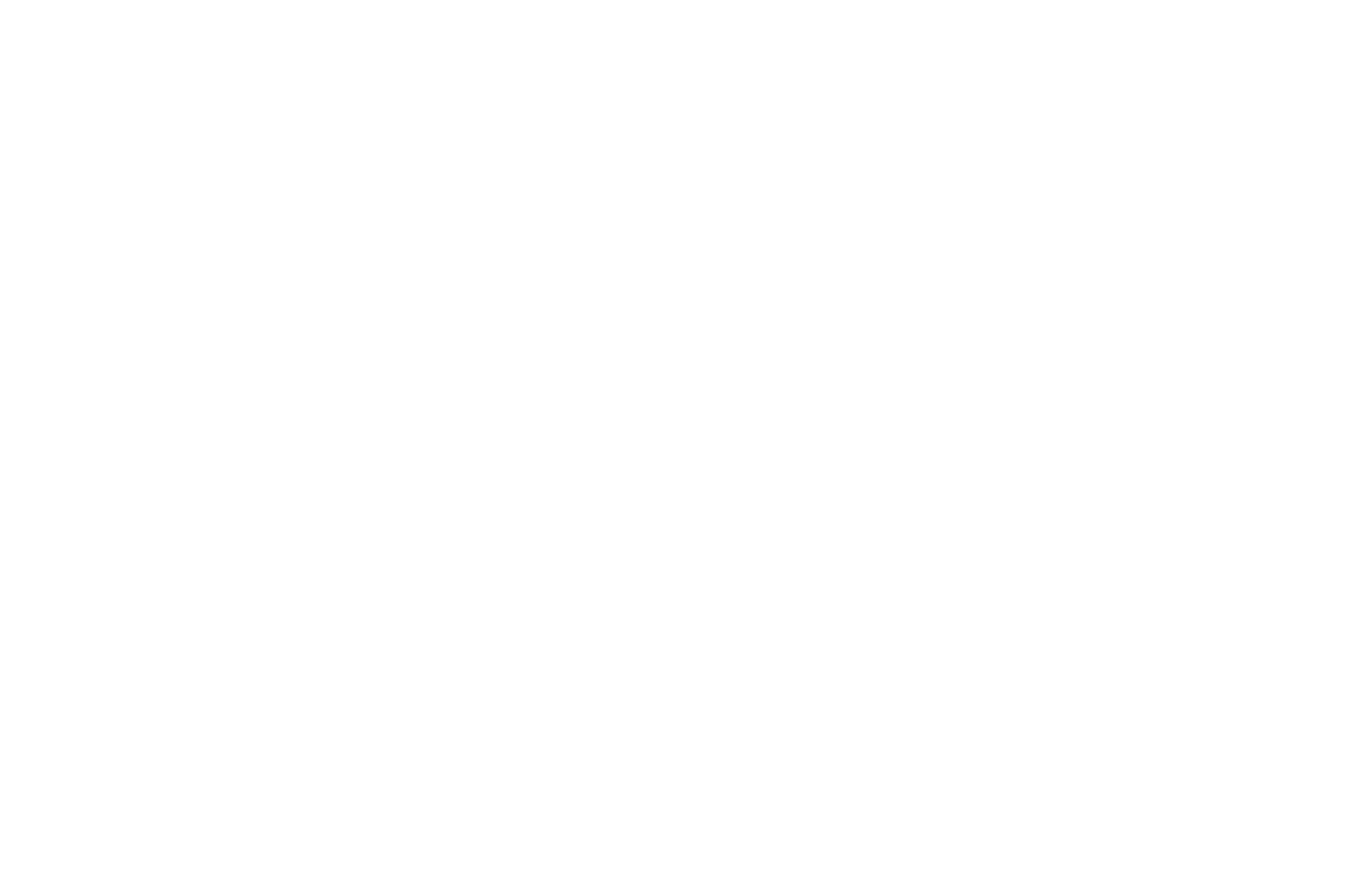 Emerging Spirit Award 2024