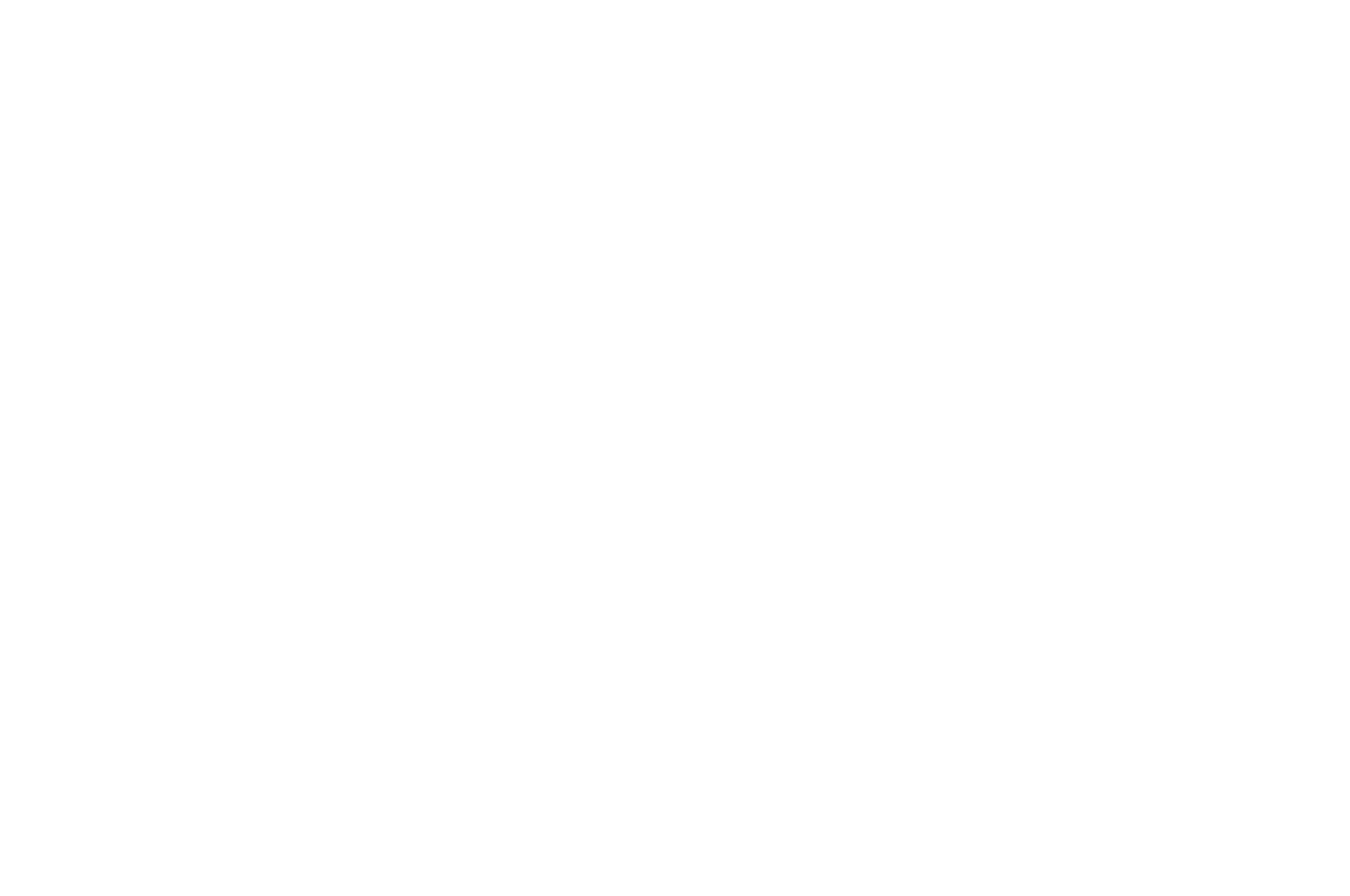 Winner New Arts International Film Festival 2024