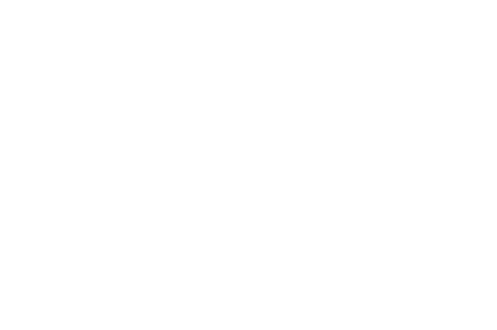 Official Selection, Bradford International Film Festival 2025
