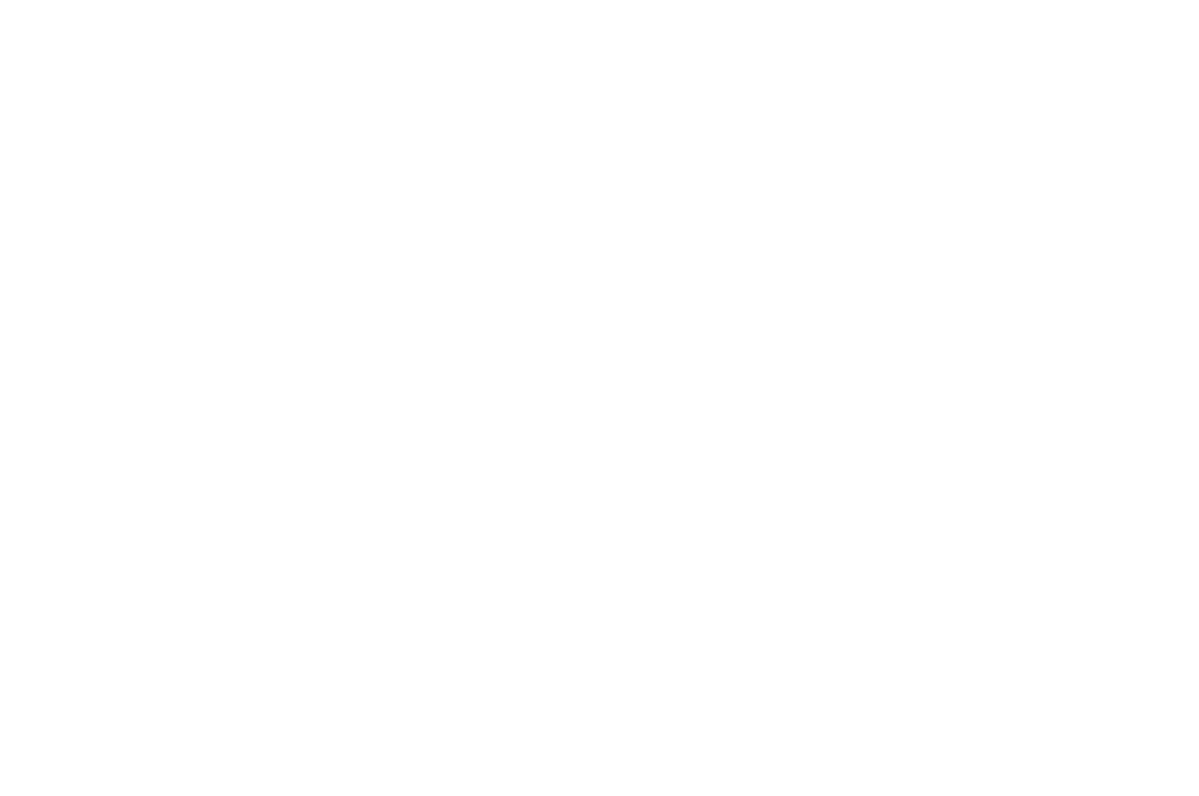 Winning Script, Spirit of Independence Film Festival 2024